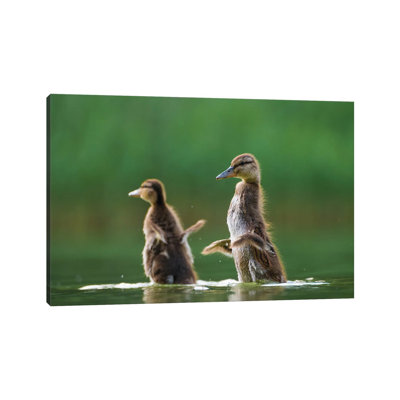 I Want To Fly by Mateusz Piesiak - Wrapped Canvas Print