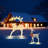 Lighted Christmas Reindeer Lawn Display