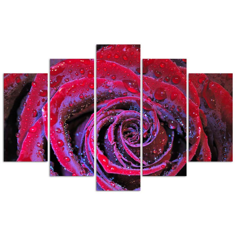 Red Rose Blossom - 5 Piece No Frame Set on Canvas, 100cm H x 200cm W