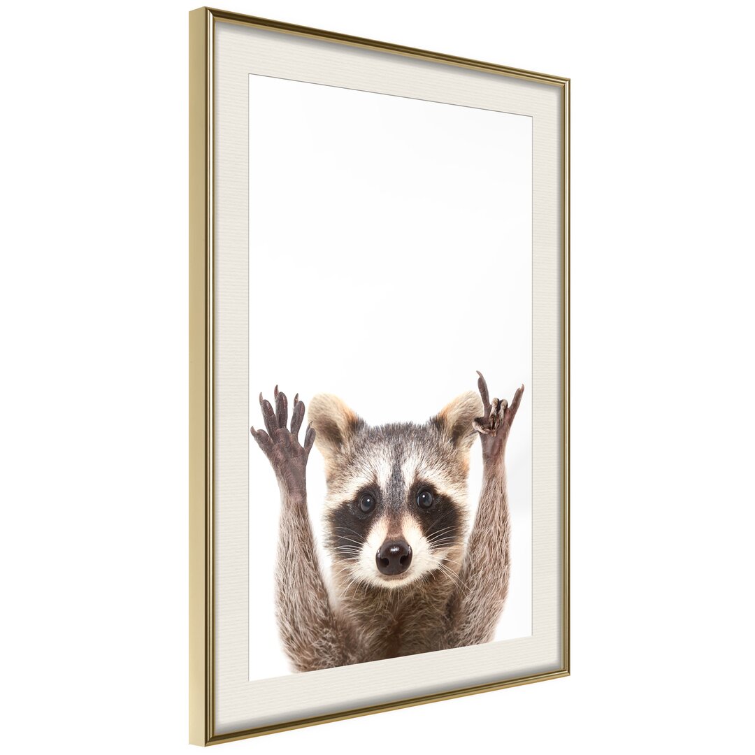 Gerahmter Fotodruck Funny Racoon