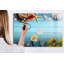 Magnetic Glass Dry Erase Board