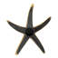 4 Piece Starfish Wall Décor Set-369482677