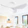 Kemp 52'' 3-Blade Modern Ceiling Fan with Remote Control