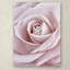 Rose rose par Cora Niele - reproduction de photo sur toile-32708197