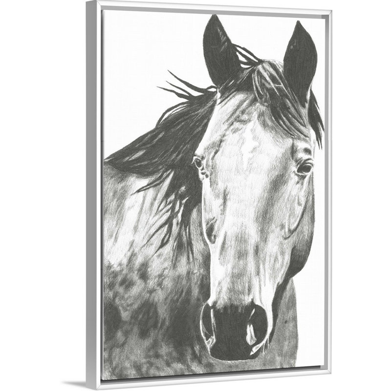 Art mural sur toile Wildlife Snapshot: Horse I, Toile avec cadre blanc, H 20 po x l 14 po x P 2 po