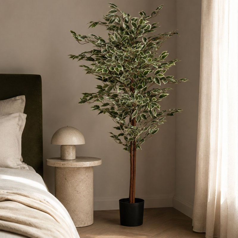 Leaf Artificial Ficus Tree / Plant 160cm Faux Ficus Tree in Pot Liner