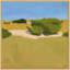 Shrubbery, Cape Hatteras Print-360398281-360398282-360398278