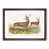 Walnut Framed