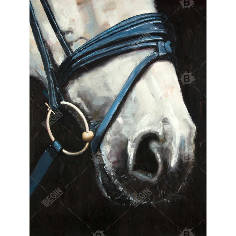 Cheval avec harnais - reproduction d'art sur toile blanche