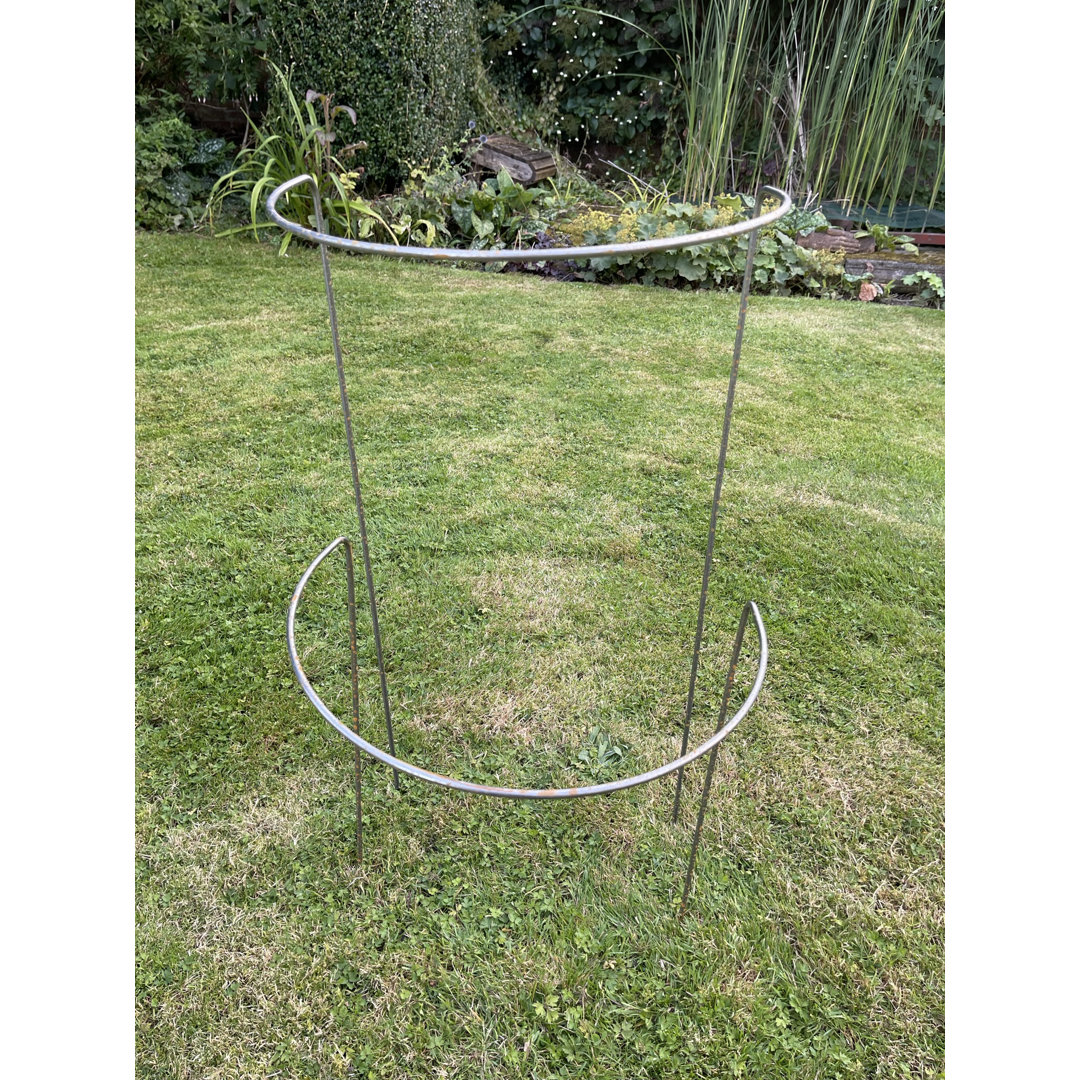 Babken plant Support