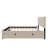 Velvet Upholstered Platform Bed with Trundle-112511389-106492948