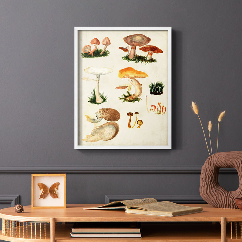 «Mushroom Species IV», reproduction encadrée - bois massif, Blanc, H 14 po x l 11 po