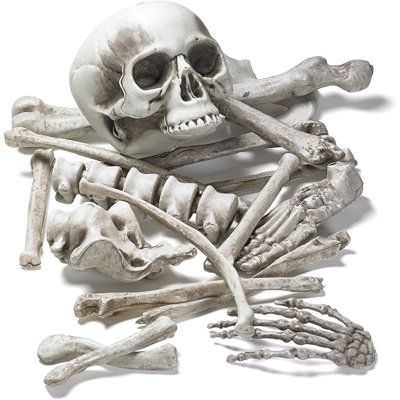 Halloween Abstract Decorative Accent
