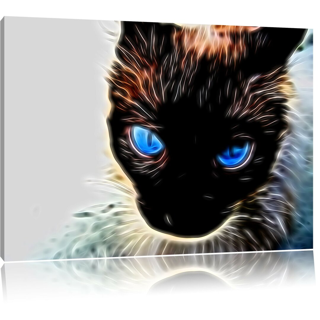 Leinwandbild Katze mit blauen Augen in Schwarz/Weiß