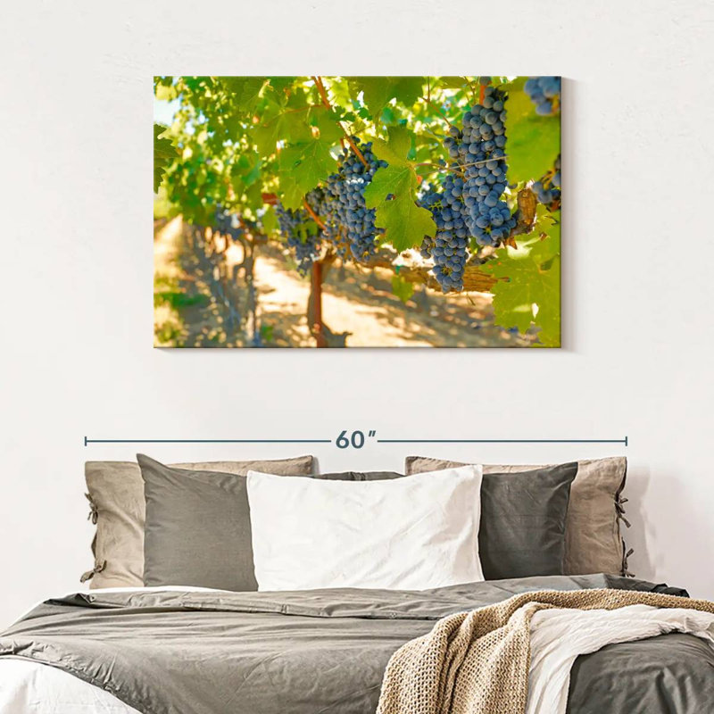 Yarlin Napa Valley Grapes