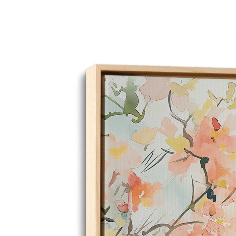 Imani, American Maple