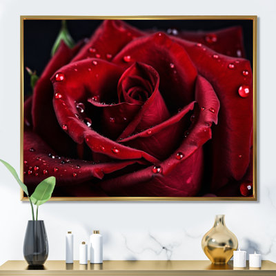 Art floral sur toile rose, impression de fleur rouge avec gouttes de pluie - Rose rouge avec gouttes de pluie IV