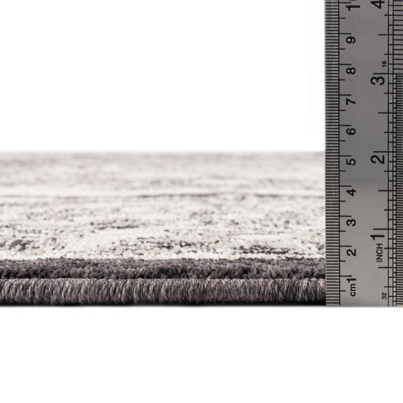 Policarpio Oriental Indoor Rug, Runner 2'7" x 12'