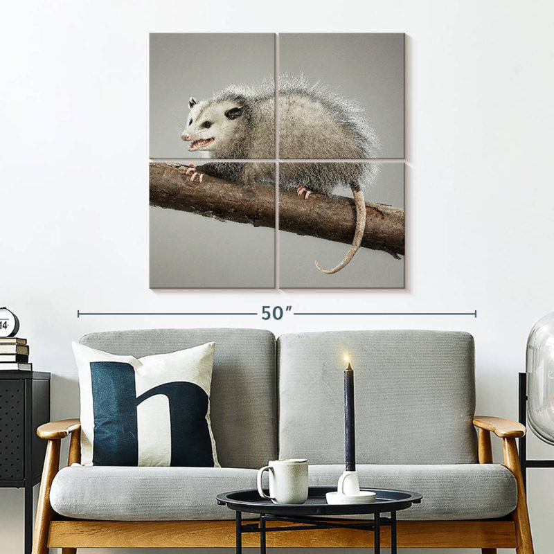 Brampt Snarky Opossum, 32" H x 32" W