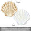 Shell 4 Piece Placemat Set