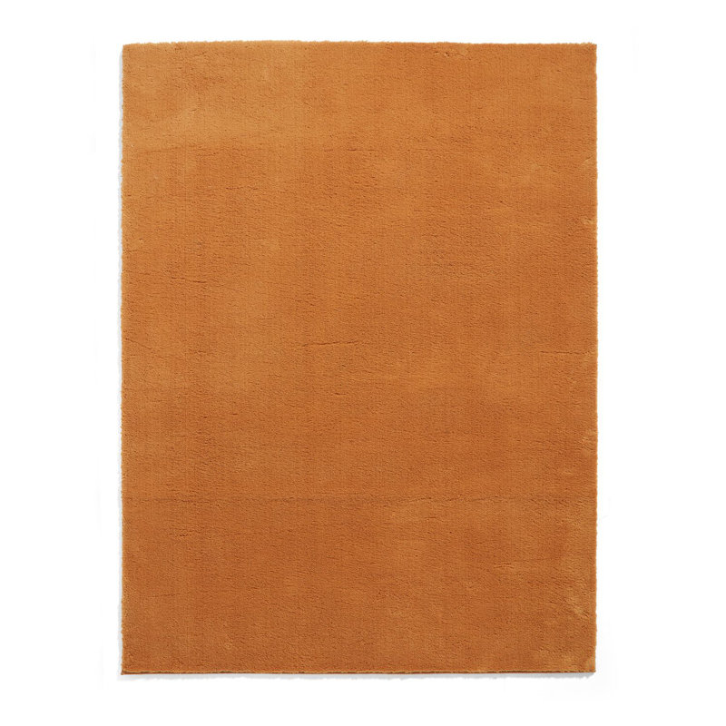 Tejal area rug Machine Woven Rectangle Camel, Rectangle 160 x 230cm