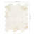 Ardena 12 in. x 12 in. Matte Porcelain Mosaic Floor and Wall Tile-97926149