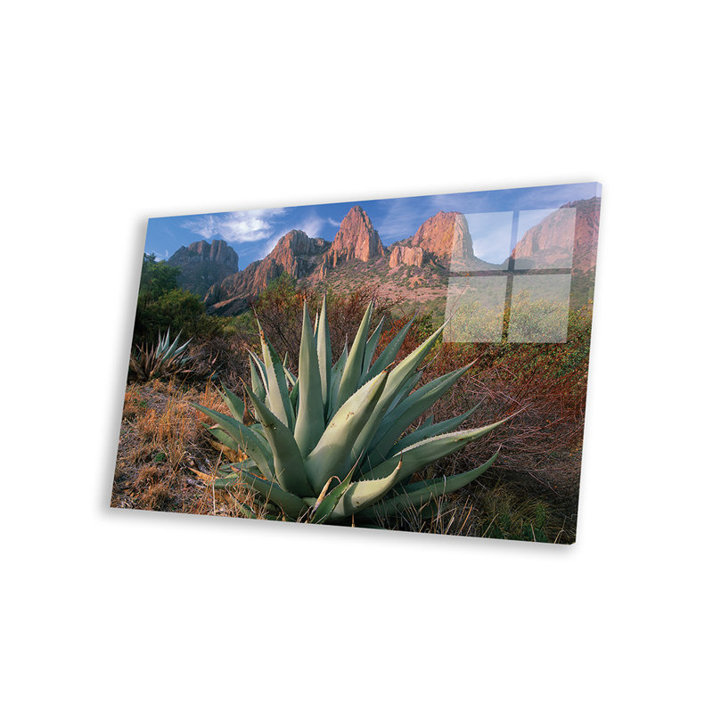 Chisos Agave and the Chisos Mountains, Big Bend National Park, Texas II par Tim Fitzharris - photographie non encadrée