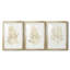 Gilded Algae IV - reproduction encadrée sur mesure de qualité supérieure - 3 pièces-113986351-113986336