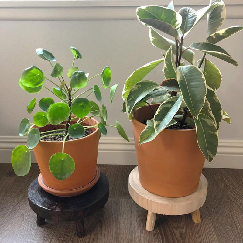 Ensemble de 2 mini présentoirs en bois