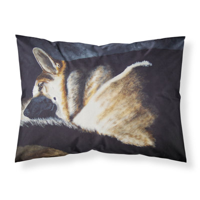 Microfiber