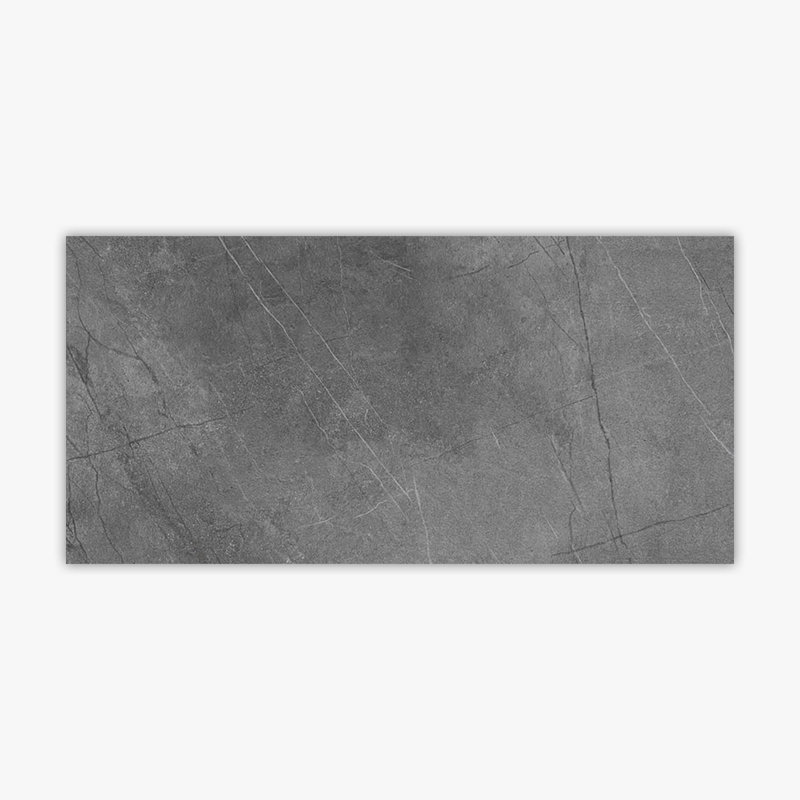Epiro 24" x 48" Porcelain Concrete Look Wall & Floor Tile