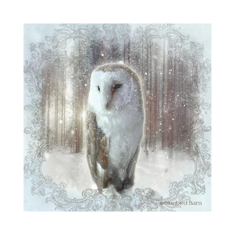 Enchanted Winter Owl by Bluebird Barn - Wrapped Canvas Print, 66.04 cm H x 66.04 cm W x 1.91 cm D