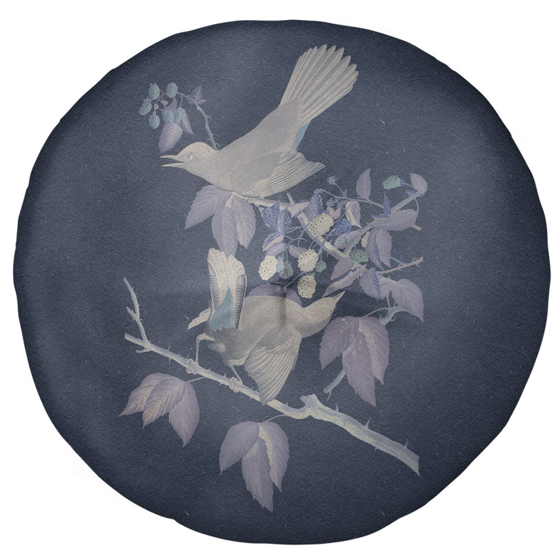 Coussin de sol à chat john james audubon, 27,5 po x 55,5 po, Bleu marine / gris