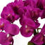 Plastic, Silk Artificial Arrangement in Planter