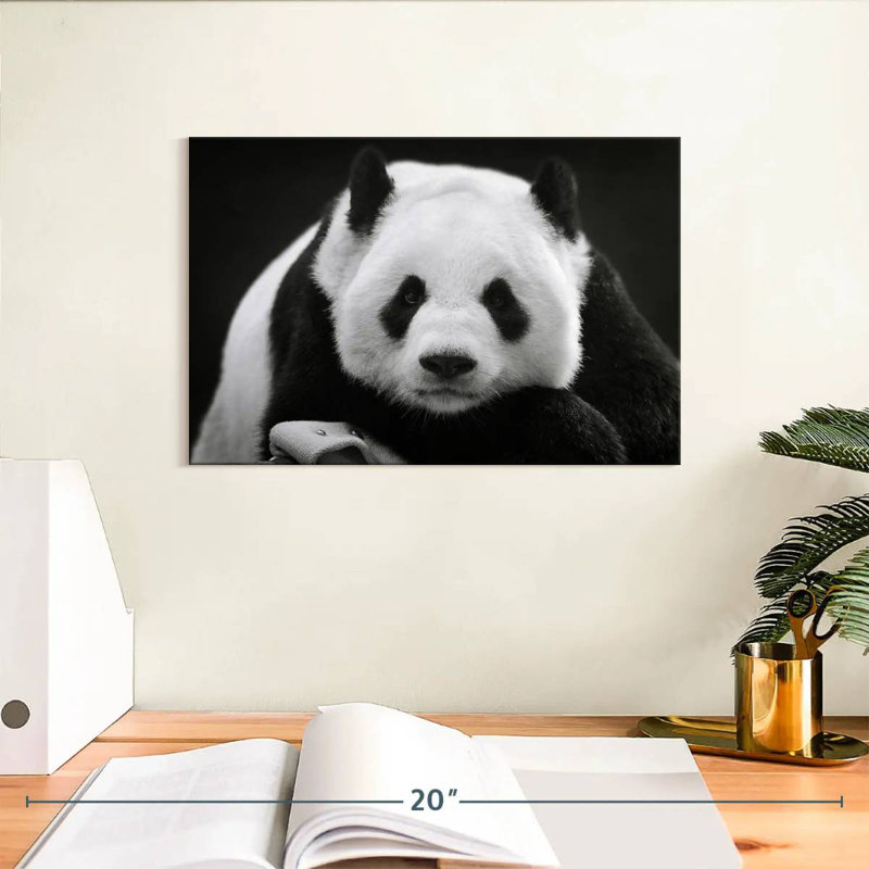 Panda sérieux Brampt, H 8 po x l 12 po