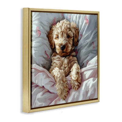 Nap Time Cuddling Labradoodle Canvas Wall Art by Jim Baldwin