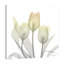Sunday Morning Tulips Two - Wrapped Canvas Print-127730526