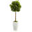48 " H Faux Boxwood Tree in Ceramic Planter