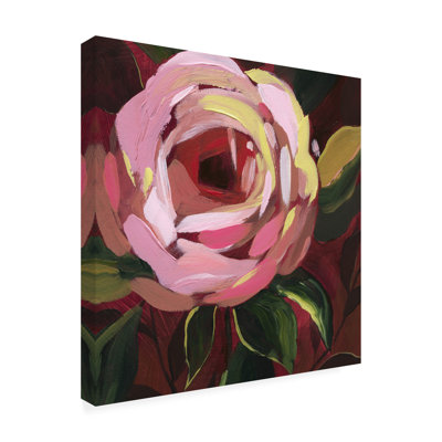 " Brushy Rose I "