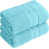 Teal is out of stock selected