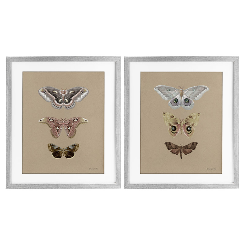 Ensemble de 2 impressions encadrées sous verre, "Forest Beauty Insect", par Danhui Nai, Cadre de ferme gris