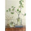 Vase D9x16