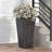 PLANTER-280767678