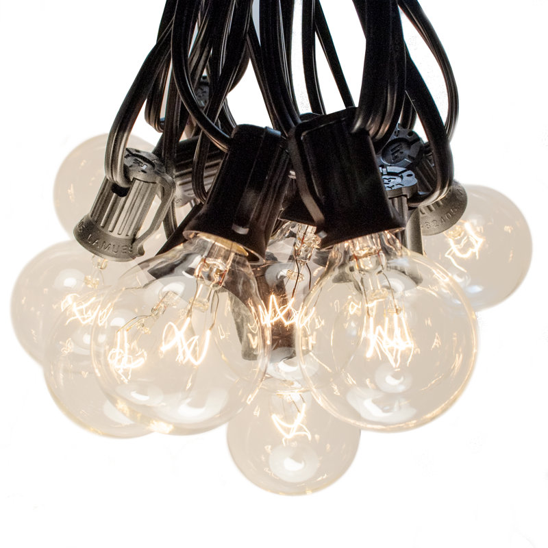 Alsip 50' Outdoor 50 - Bulb Globe String Light, Black