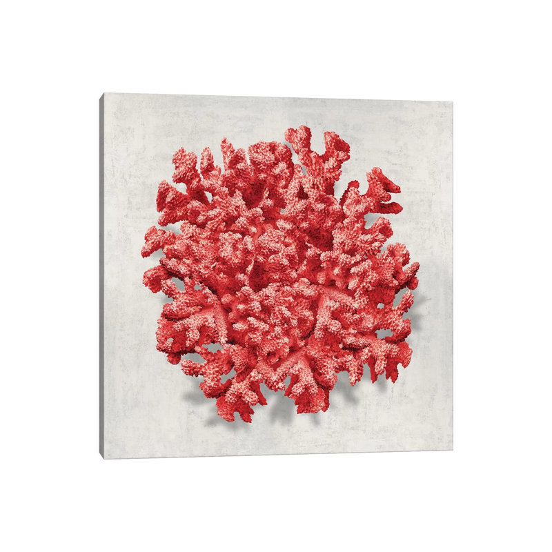 Coral Red II 1 Piece Wrapped Canvas Wall Art, 66.04cm H x 66.04cm W