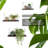Floating Shelves Set Of 3 Rustic Solid Wood Floating Shelf Wall Storage Shelves For Living Room, Bedroom, Bathroom, Kitchen Laundry, Office.No Drill Shelf.(Retro Color L+M+S)