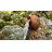 8W Solar Fountain Pump With Battery Backup