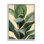 " Plant In Pot Study Curved Branches " by Annie Warren