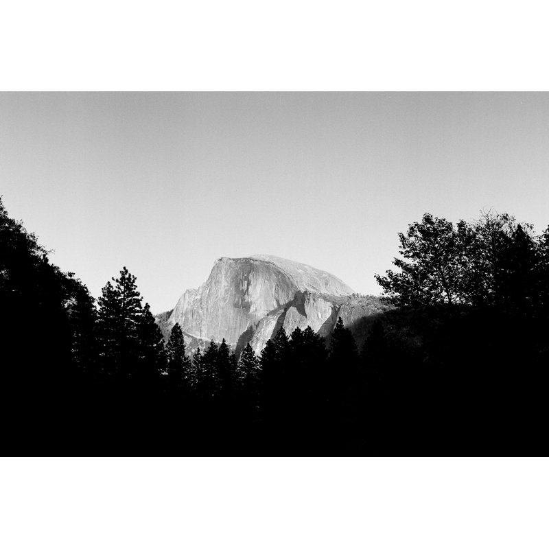 Half Dome In Trees by Bradford Smith - Print on Canvas, 81cm H x 122cm W, Black Floater Framed