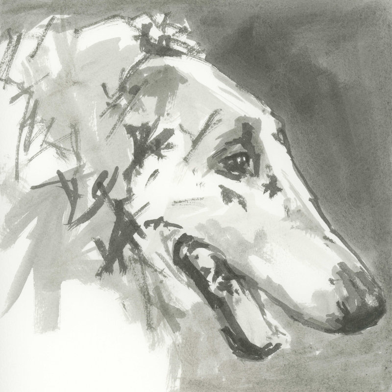 A A Neutral Modern Dog I par Cartissi - reproduction d'art sur toile tendue, H 36 po x l 36 po x P 1,25 po